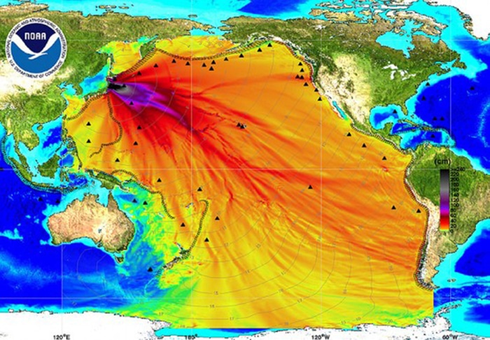 Fukushima - Greenpeace dément la rumeur d’une nouvelle catastrophe écologique