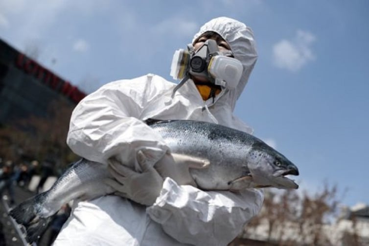 Fukushima poisson radiactif