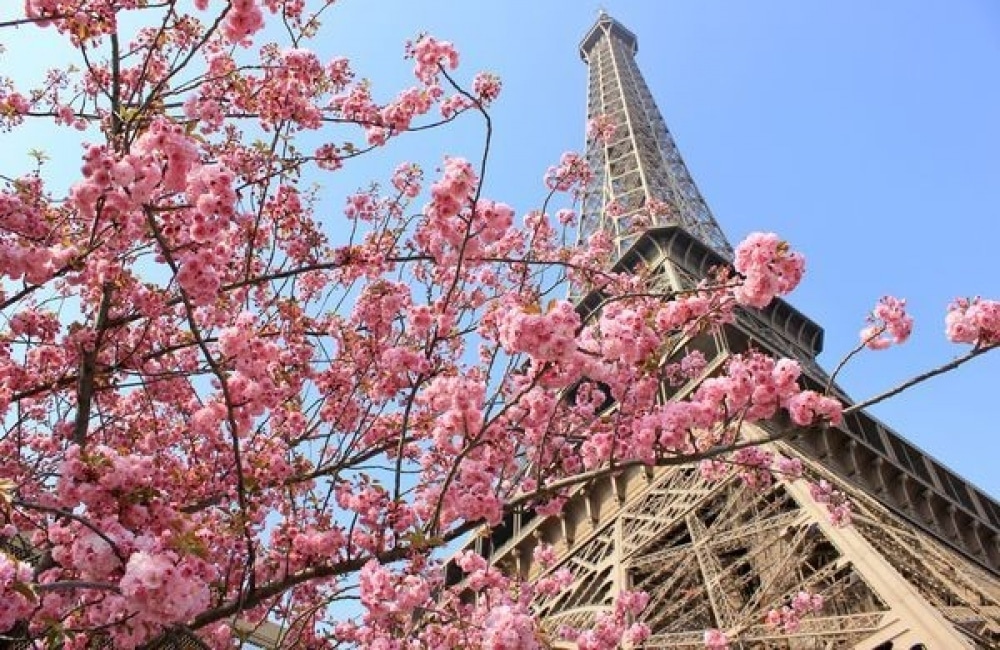 Des fleurs à Paris pour la Saint Valentin