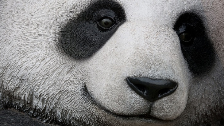 filtre google panda